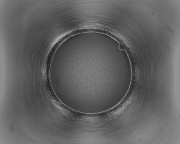 X0000111360830200907171202