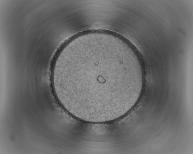 X0000111360832200907171202