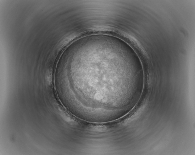 X0000111360833200907171202
