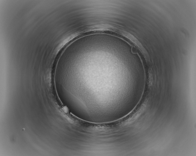 X0000111360834200907171202
