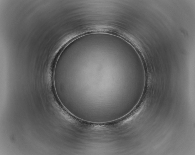 X0000111360835200907171202