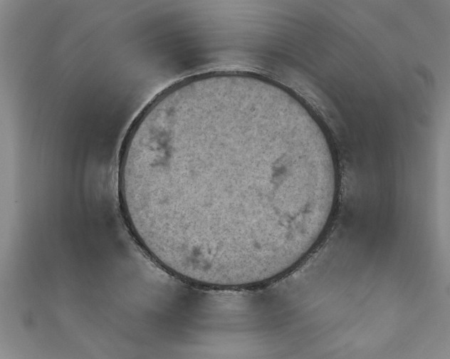 X0000111360836200907171202
