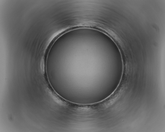 X0000111360838200907171202