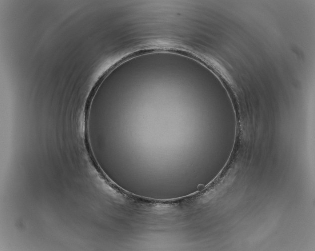 X0000111360839200907171202