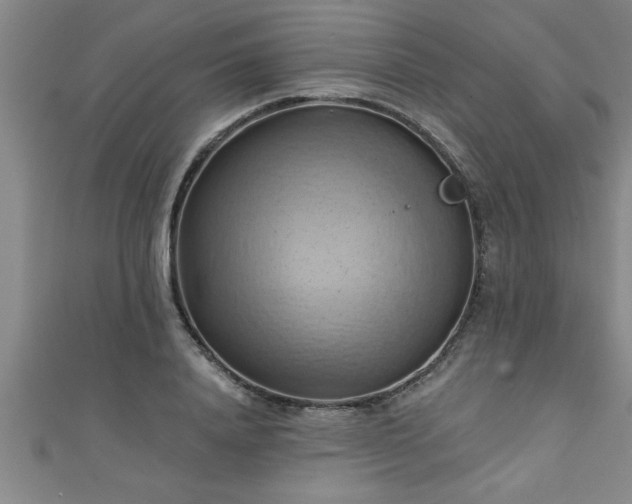 X0000111360840200907171202