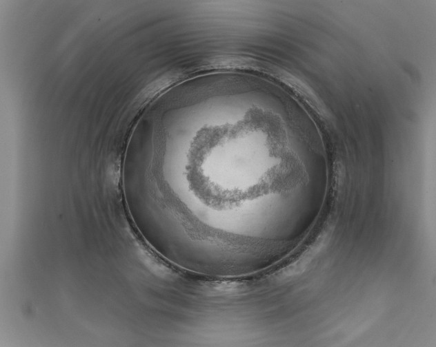 X0000111360841200907171202