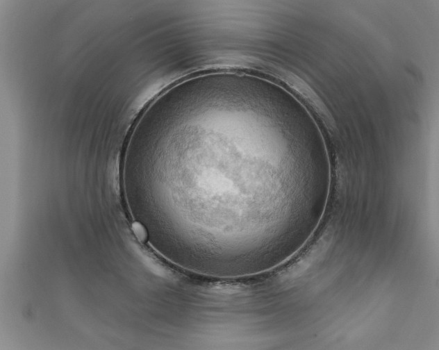 X0000111360842200907171202