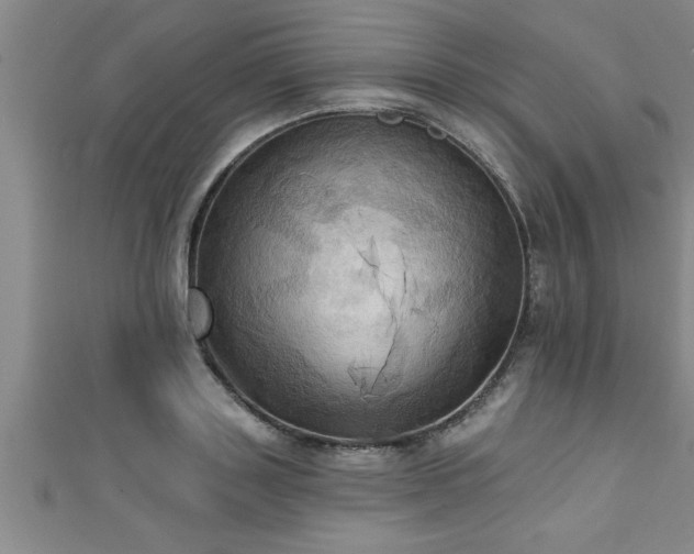 X0000111360843200907171202