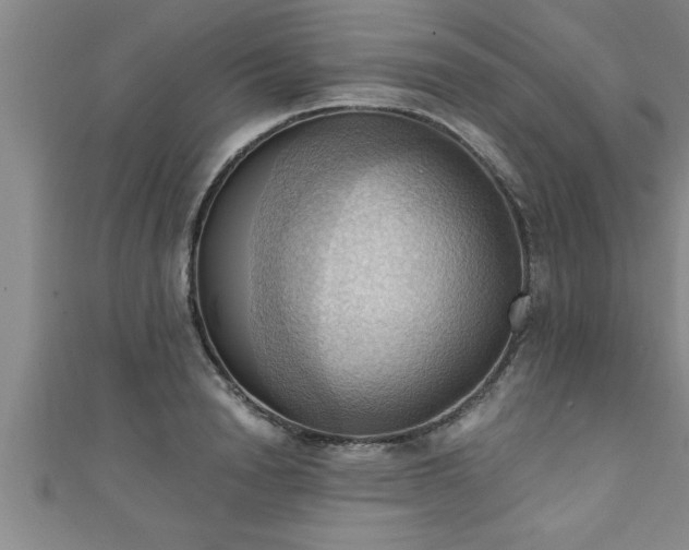 X0000111360846200907171202