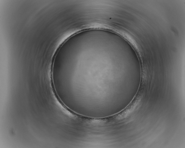 X0000111360847200907171202