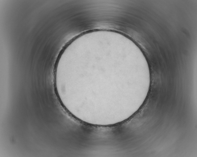 X0000111360848200907171202