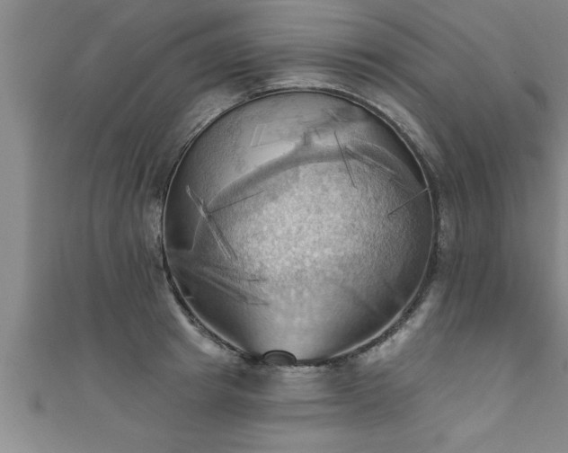 X0000111360849200907171202