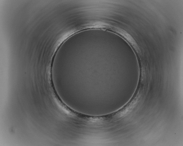 X0000111360850200907171202
