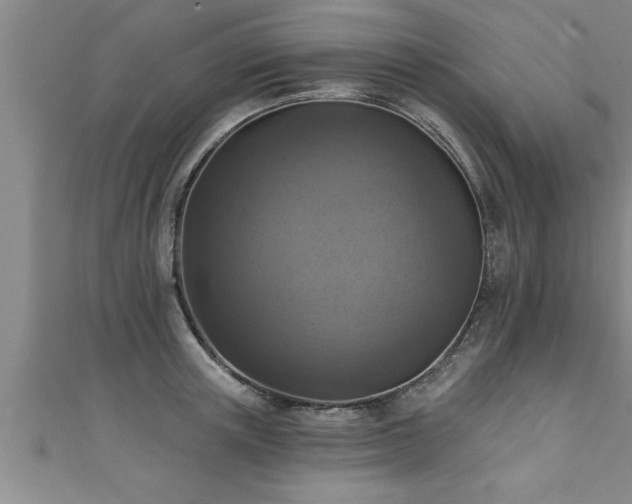 X0000111360851200907171202