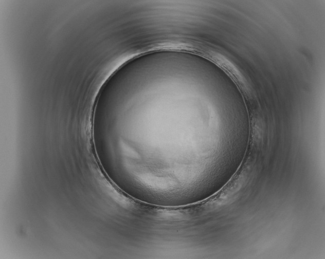 X0000111360852200907171202