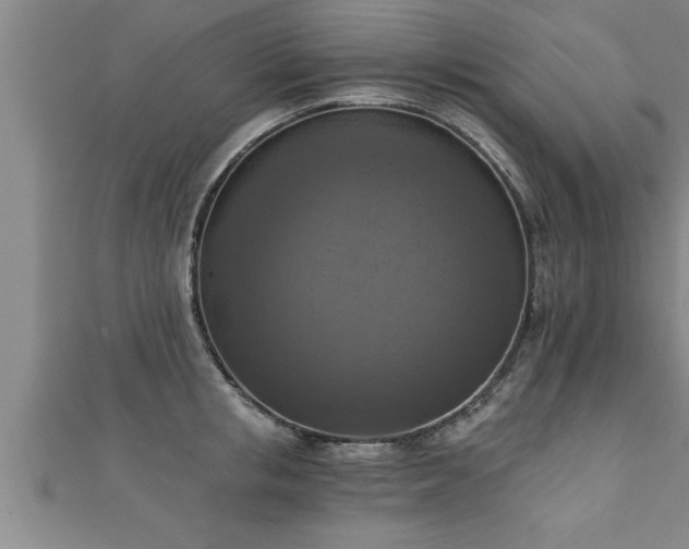 X0000111360853200907171202