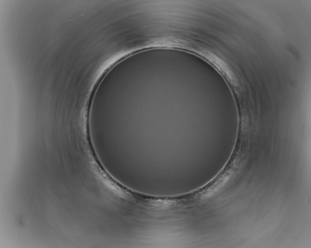 X0000111360854200907171202