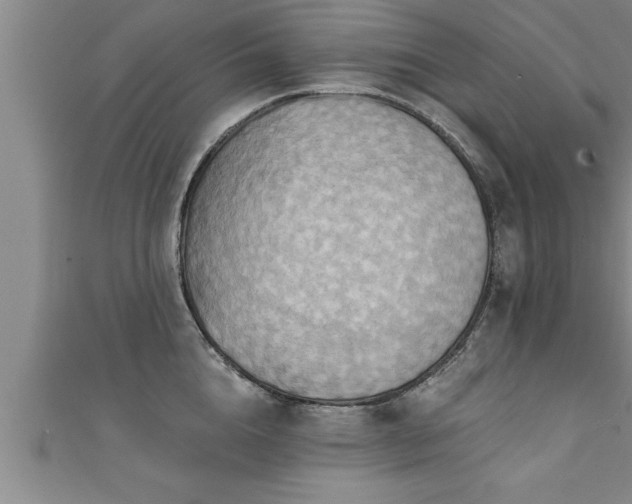 X0000111360856200907171202