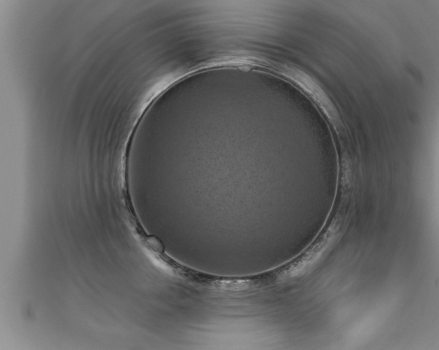 X0000111360858200907171202
