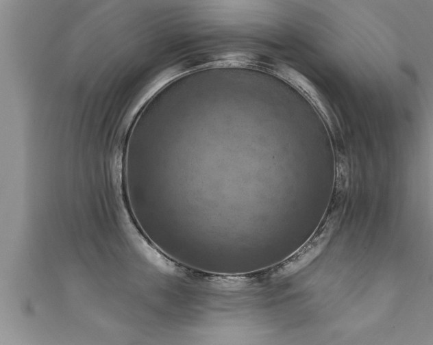 X0000111360859200907171202