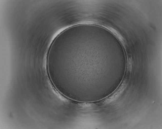 X0000111360862200907171202
