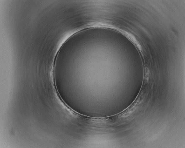 X0000111360863200907171202