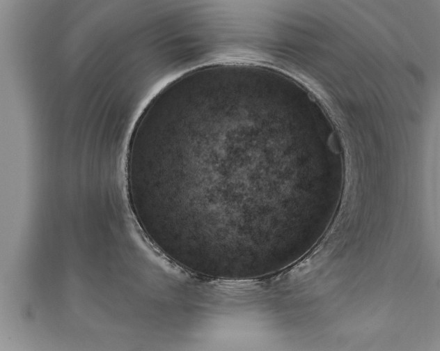 X0000111360864200907171202