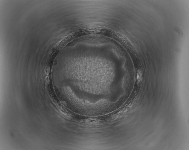 X0000111360867200907171202