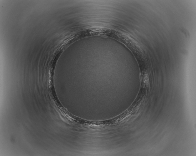X0000111360868200907171202