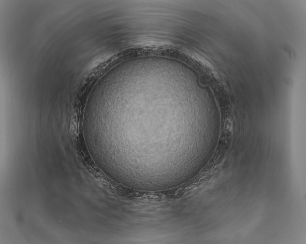 X0000111360869200907171202