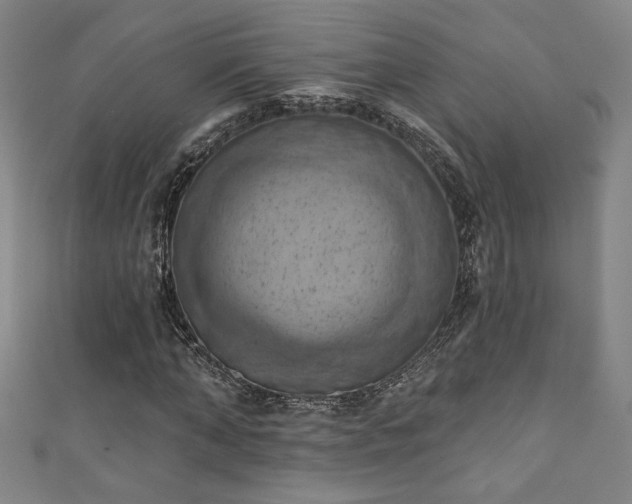 X0000111360870200907171202