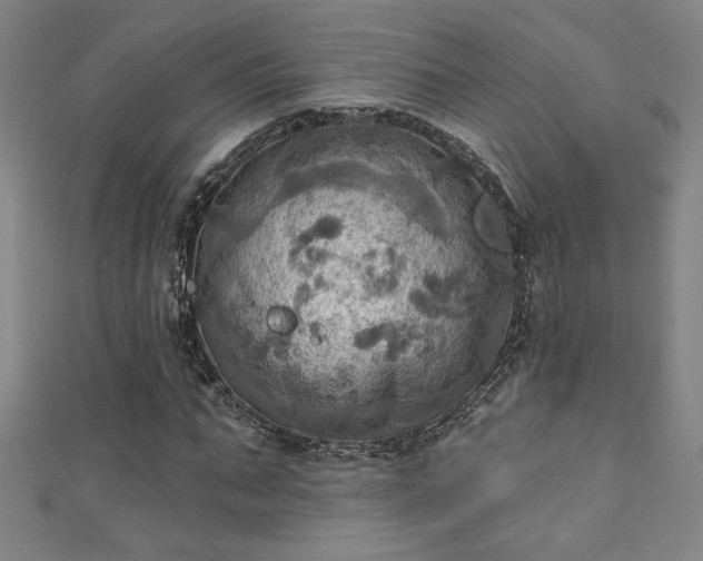 X0000111360871200907171202