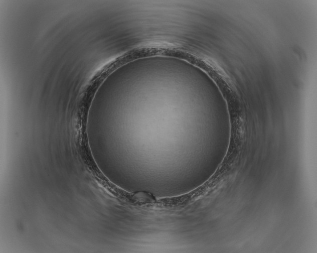 X0000111360872200907171202