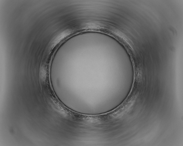 X0000111360874200907171202