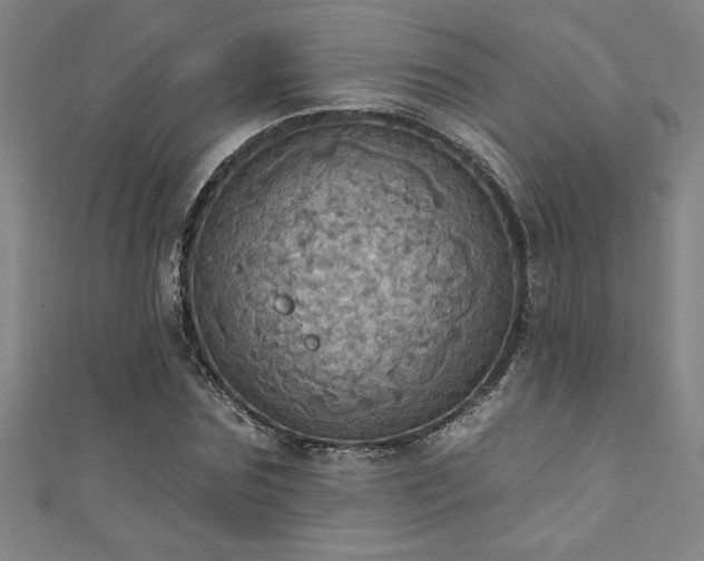 X0000111360875200907171202