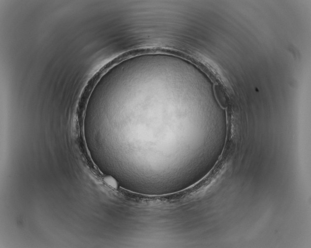 X0000111360876200907171202