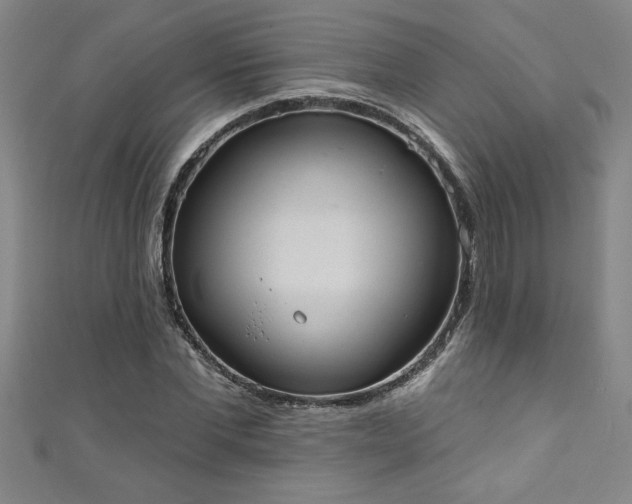 X0000111360877200907171202