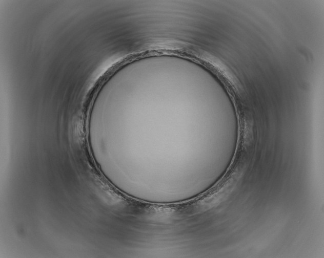 X0000111360878200907171202