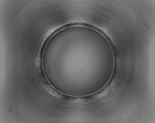 X0000111360879200907171202