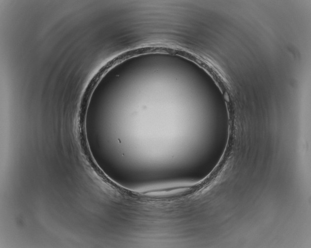 X0000111360880200907171202