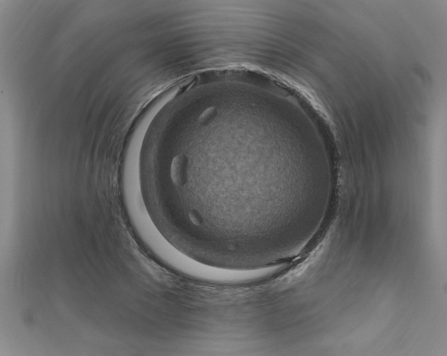 X0000111360881200907171202