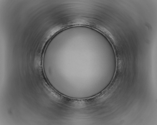 X0000111360882200907171202