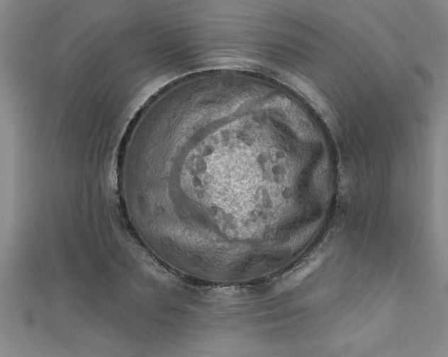 X0000111360883200907171201