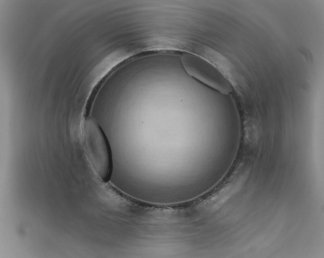 X0000111360885200907171201