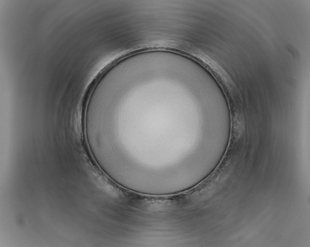 X0000111360886200907171201