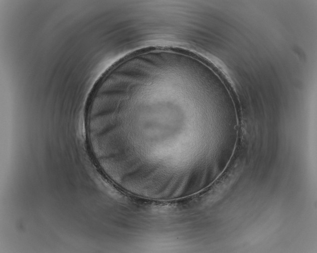 X0000111360887200907171201