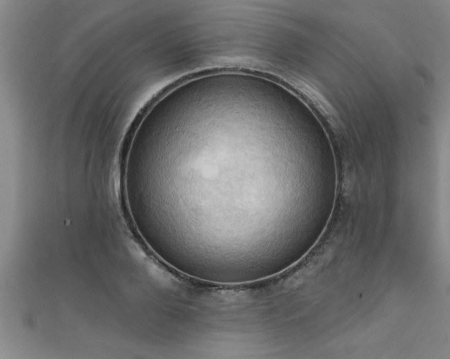 X0000111360888200907171201
