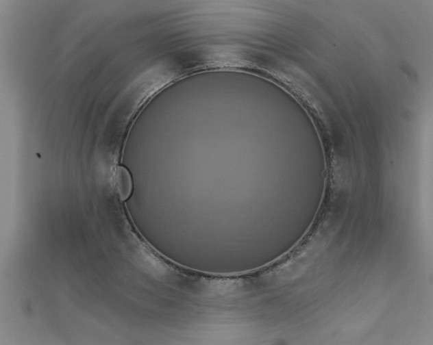 X0000111360889200907171201