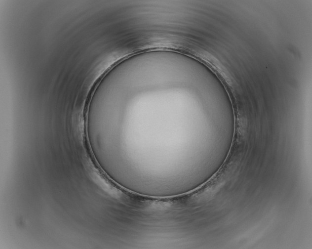 X0000111360890200907171201