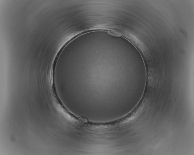 X0000111360892200907171201